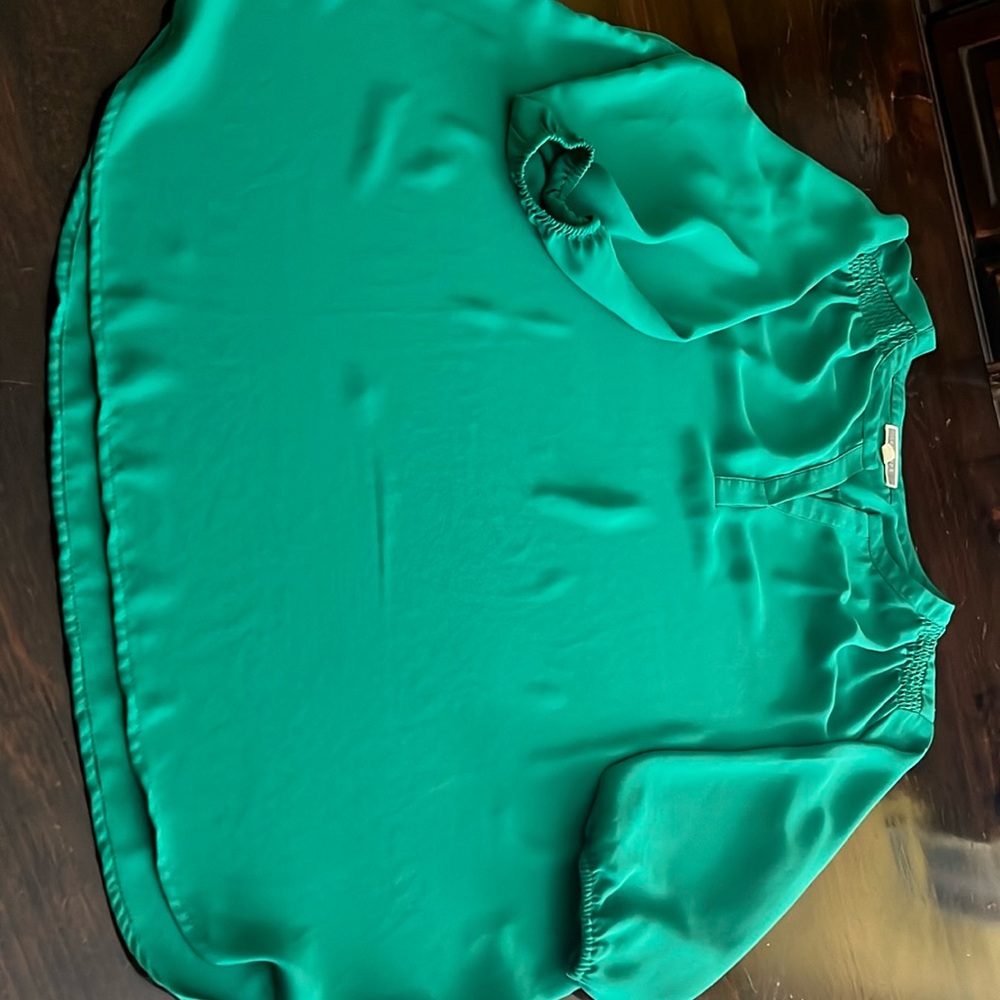 Ladies blouse size large. Color green